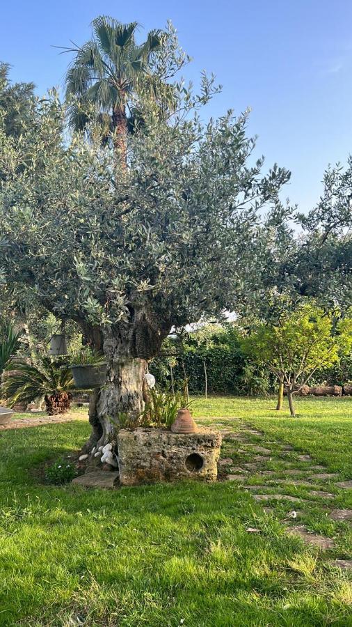 La Finestra Sul Limone Bed & Breakfast Castelvetrano Exterior photo