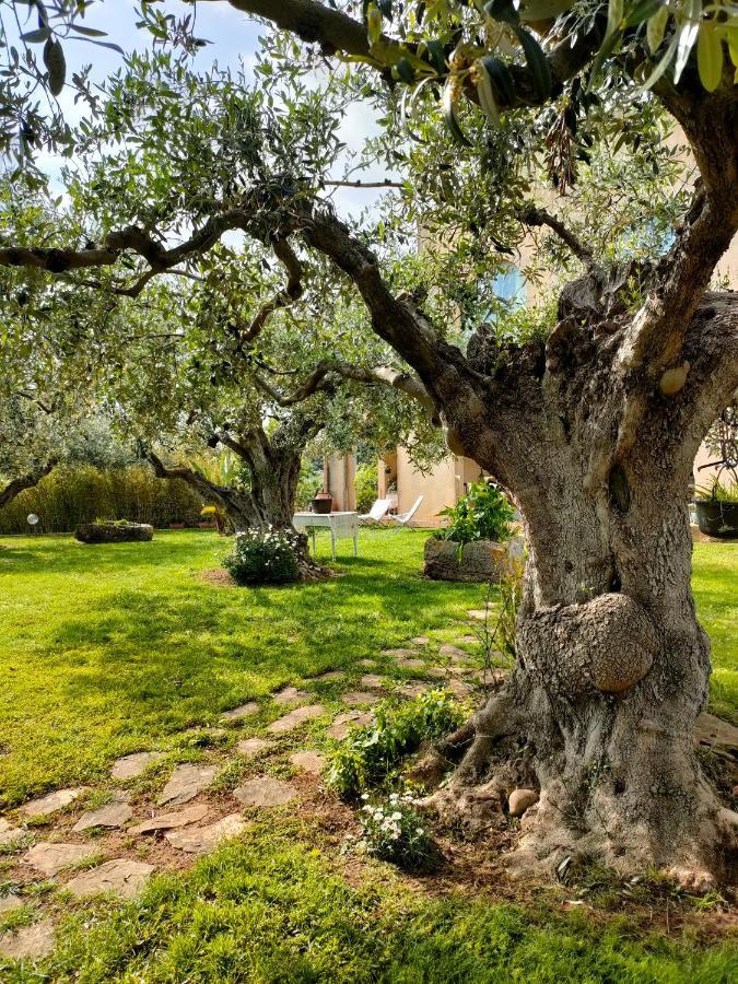 La Finestra Sul Limone Bed & Breakfast Castelvetrano Exterior photo
