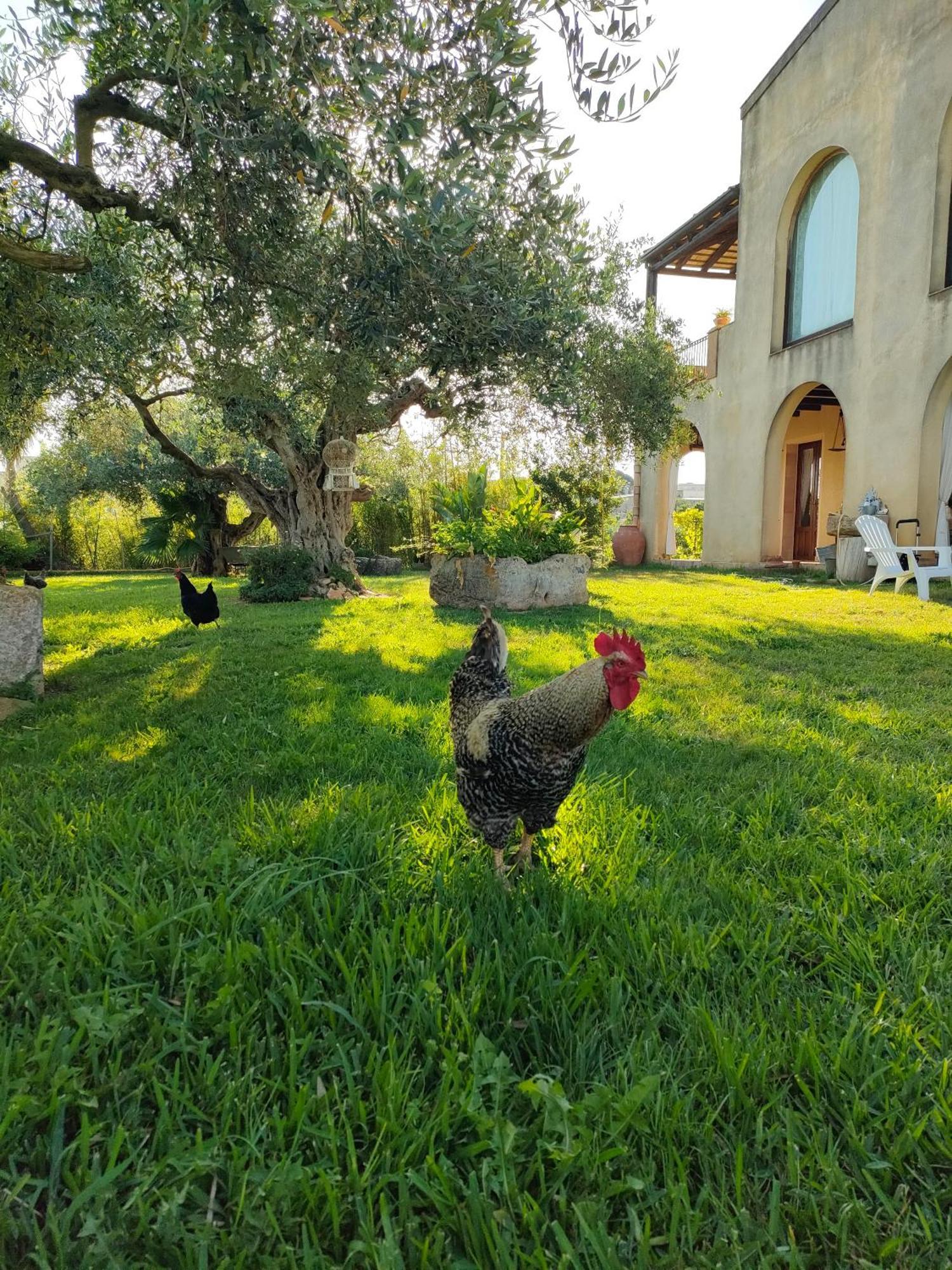 La Finestra Sul Limone Bed & Breakfast Castelvetrano Exterior photo